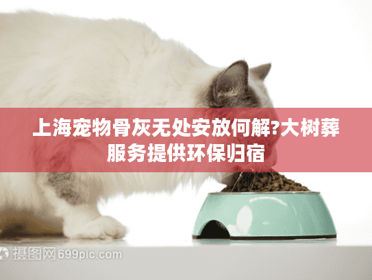 上海宠物骨灰无处安放何解?大树葬服务提供环保归宿