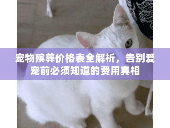 宠物殡葬价格表全解析，告别爱宠前必须知道的费用真相