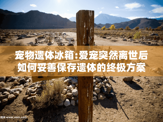 宠物遗体冰箱:爱宠突然离世后如何妥善保存遗体的终极方案