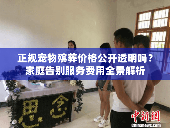 正规宠物殡葬价格公开透明吗？家庭告别服务费用全景解析