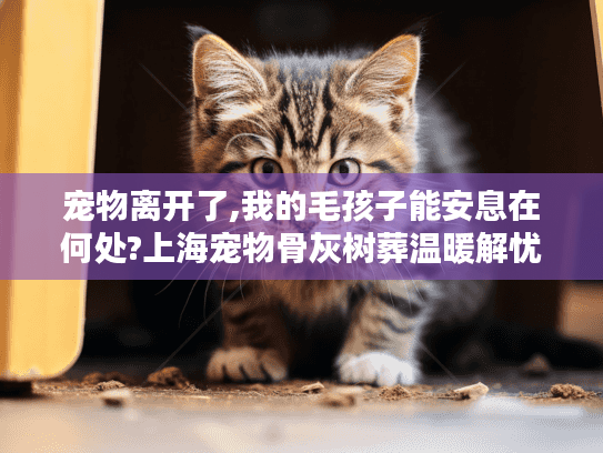 宠物离开了,我的毛孩子能安息在何处?上海宠物骨灰树葬温暖解忧
