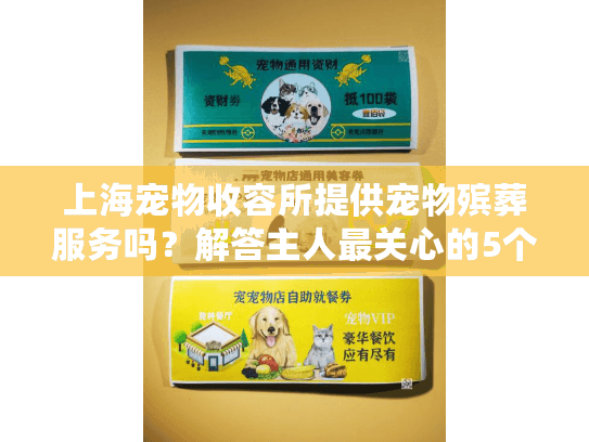 上海宠物收容所提供宠物殡葬服务吗？解答主人最关心的5个问题