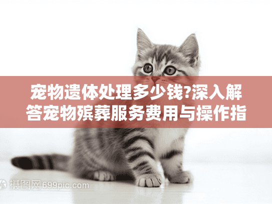 宠物遗体处理多少钱?深入解答宠物殡葬服务费用与操作指南