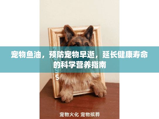 宠物鱼油，预防宠物早逝，延长健康寿命的科学营养指南