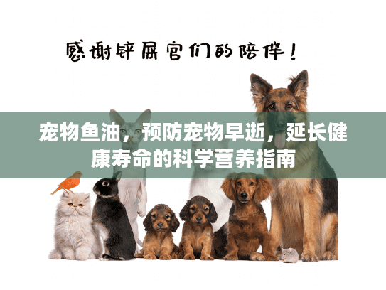 宠物鱼油，预防宠物早逝，延长健康寿命的科学营养指南