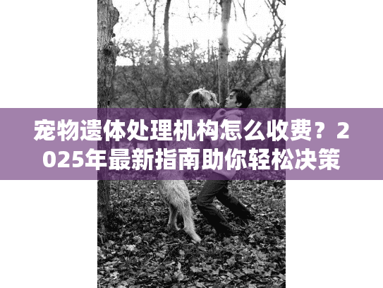 宠物遗体处理机构怎么收费？2025年最新指南助你轻松决策
