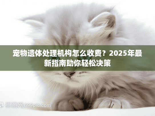 宠物遗体处理机构怎么收费？2025年最新指南助你轻松决策