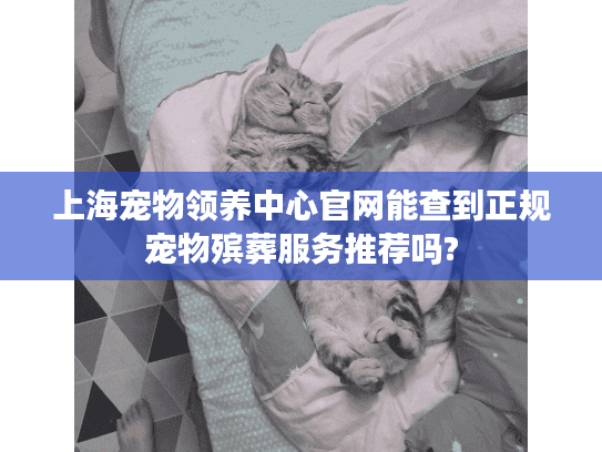 上海宠物领养中心官网能查到正规宠物殡葬服务推荐吗?