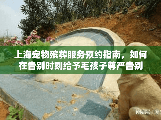 上海宠物殡葬服务预约指南，如何在告别时刻给予毛孩子尊严告别