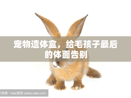 宠物遗体盒，给毛孩子最后的体面告别