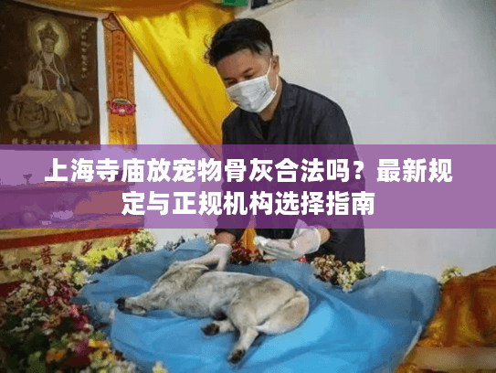 上海寺庙放宠物骨灰合法吗？最新规定与正规机构选择指南