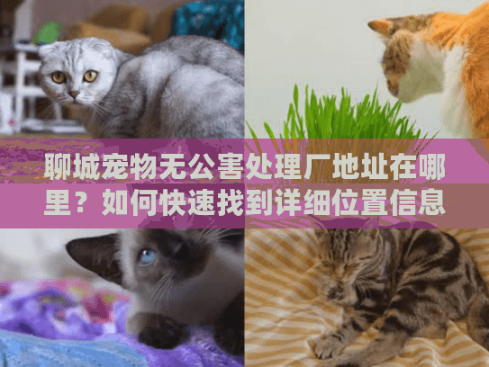 聊城宠物无公害处理厂地址在哪里？如何快速找到详细位置信息