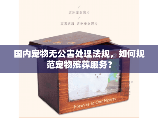 国内宠物无公害处理法规，如何规范宠物殡葬服务？