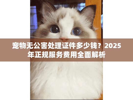 宠物无公害处理证件多少钱？2025年正规服务费用全面解析