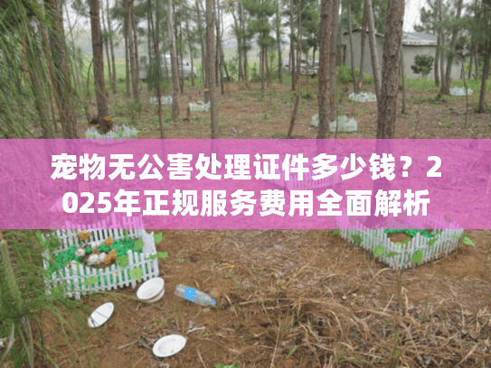 宠物无公害处理证件多少钱？2025年正规服务费用全面解析