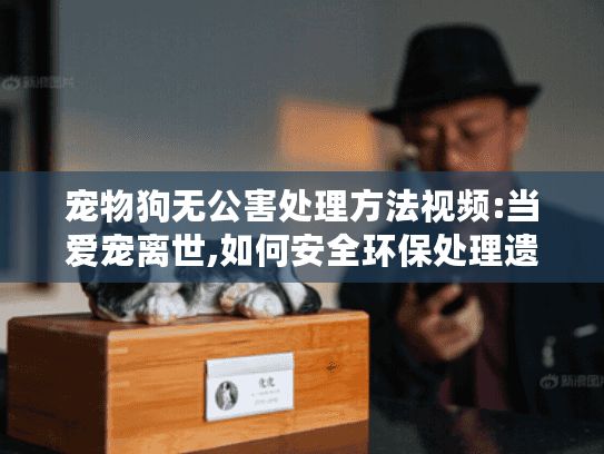 宠物狗无公害处理方法视频:当爱宠离世,如何安全环保处理遗体难题?