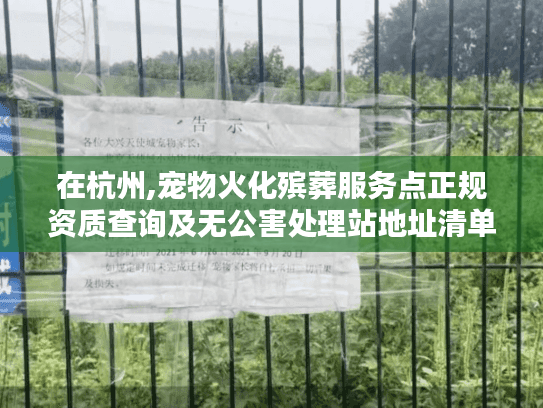 在杭州,宠物火化殡葬服务点正规资质查询及无公害处理站地址清单