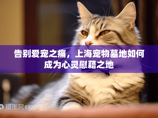 告别爱宠之痛，上海宠物墓地如何成为心灵慰藉之地