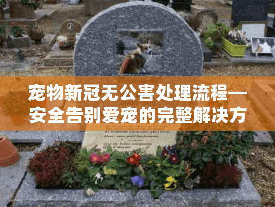 宠物新冠无公害处理流程—安全告别爱宠的完整解决方案