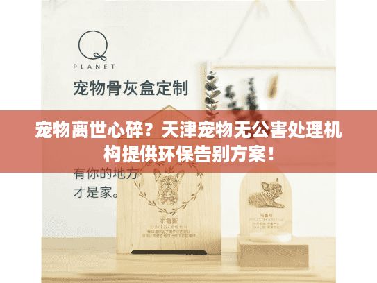 宠物离世心碎？天津宠物无公害处理机构提供环保告别方案！