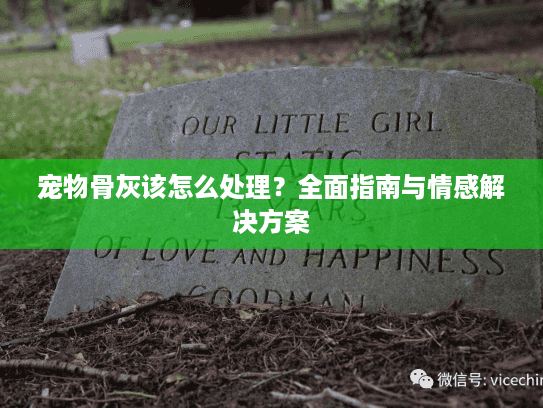 宠物骨灰该怎么处理？全面指南与情感解决方案