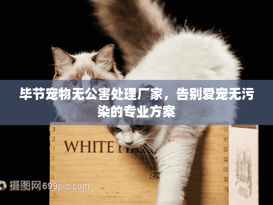 毕节宠物无公害处理厂家，告别爱宠无污染的专业方案