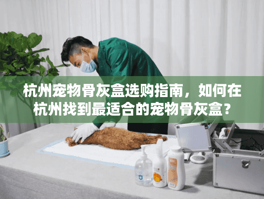 杭州宠物骨灰盒选购指南，如何在杭州找到最适合的宠物骨灰盒？