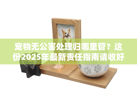 宠物无公害处理归哪里管？这份2025年最新责任指南请收好