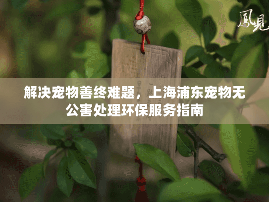 解决宠物善终难题，上海浦东宠物无公害处理环保服务指南