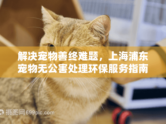 解决宠物善终难题，上海浦东宠物无公害处理环保服务指南