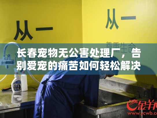 长春宠物无公害处理厂，告别爱宠的痛苦如何轻松解决？