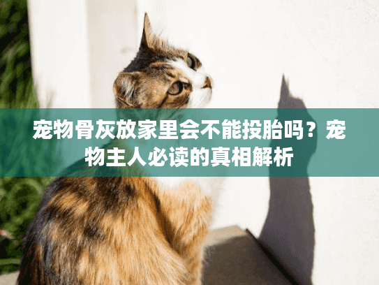 宠物骨灰放家里会不能投胎吗？宠物主人必读的真相解析