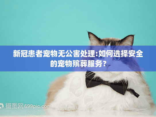新冠患者宠物无公害处理:如何选择安全的宠物殡葬服务？