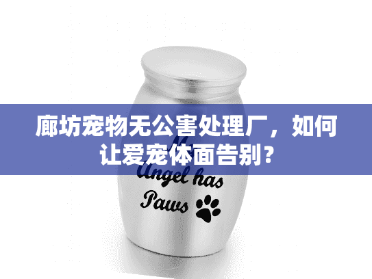 廊坊宠物无公害处理厂，如何让爱宠体面告别？