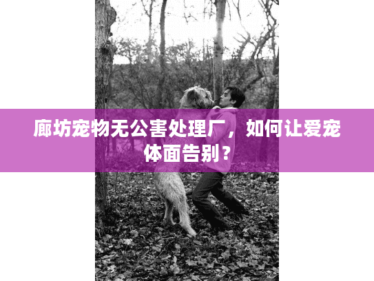 廊坊宠物无公害处理厂，如何让爱宠体面告别？