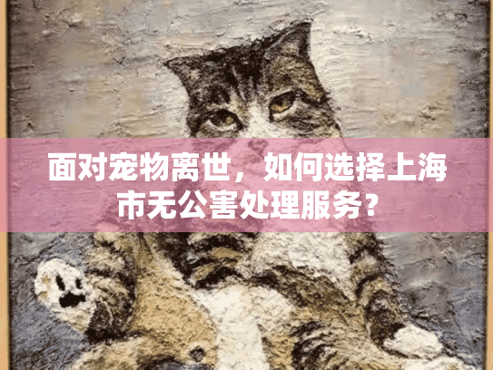 面对宠物离世，如何选择上海市无公害处理服务？