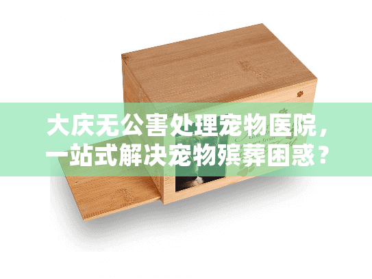 大庆无公害处理宠物医院，一站式解决宠物殡葬困惑？