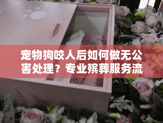 宠物狗咬人后如何做无公害处理？专业殡葬服务流程全解