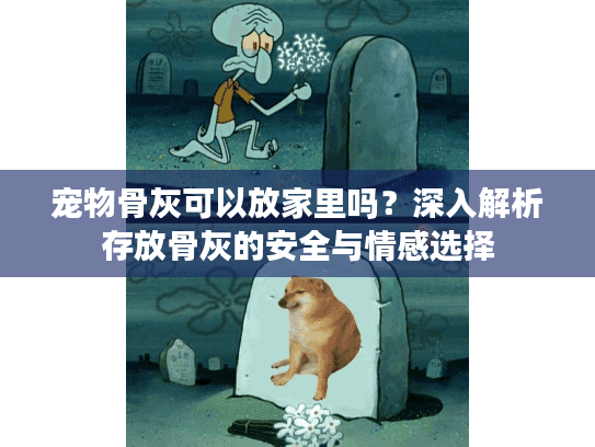 宠物骨灰可以放家里吗？深入解析存放骨灰的安全与情感选择