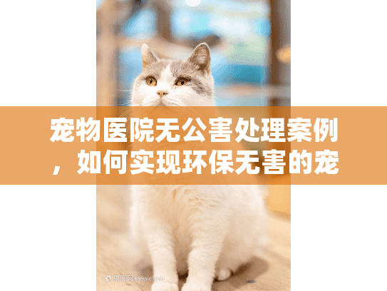宠物医院无公害处理案例，如何实现环保无害的宠物殡葬服务？