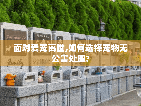面对爱宠离世,如何选择宠物无公害处理?