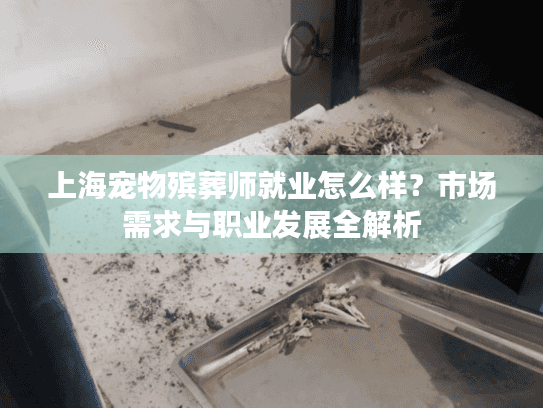 上海宠物殡葬师就业怎么样？市场需求与职业发展全解析