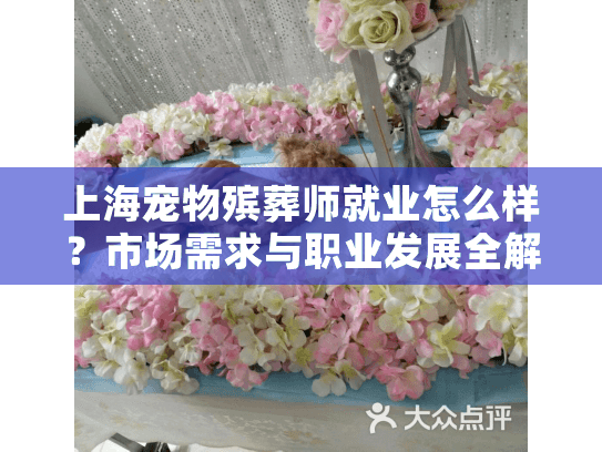 上海宠物殡葬师就业怎么样？市场需求与职业发展全解析