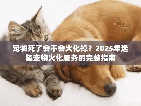 宠物死了会不会火化掉？2025年选择宠物火化服务的完整指南