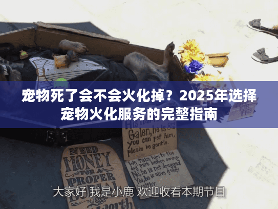 宠物死了会不会火化掉？2025年选择宠物火化服务的完整指南