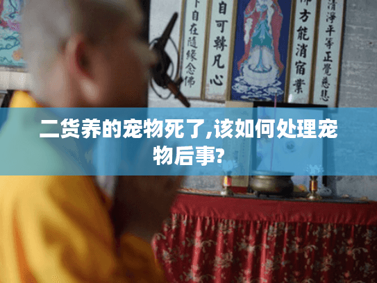 二货养的宠物死了,该如何处理宠物后事?