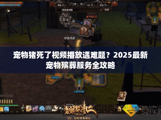 宠物猪死了视频播放遇难题？2025最新宠物殡葬服务全攻略