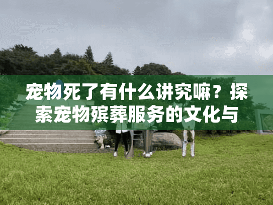 宠物死了有什么讲究嘛？探索宠物殡葬服务的文化与情感疗愈之道