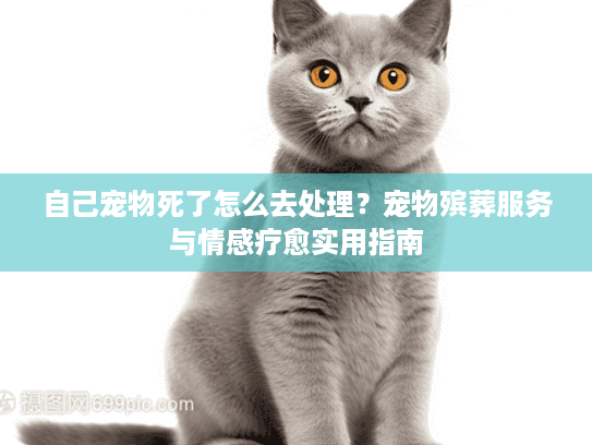 自己宠物死了怎么去处理？宠物殡葬服务与情感疗愈实用指南