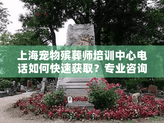 上海宠物殡葬师培训中心电话如何快速获取？专业咨询通道